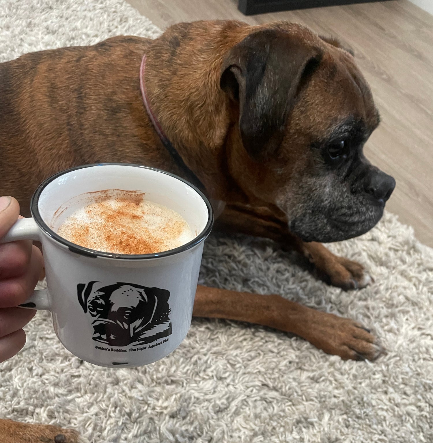 Bubba (Boxer) The Fight Against DM Coffee Mug – Bubbas Buddies